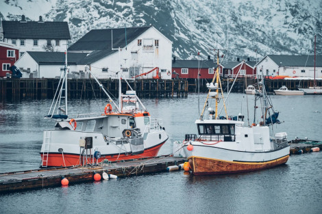 Еврокомиссия намерена ужесточить законы о рыболовстве в морских охраняемых зонах